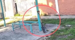 Una pala estuvo dos días en una parada de colectivos, nadie se la llevó.