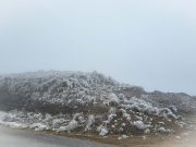 Clima